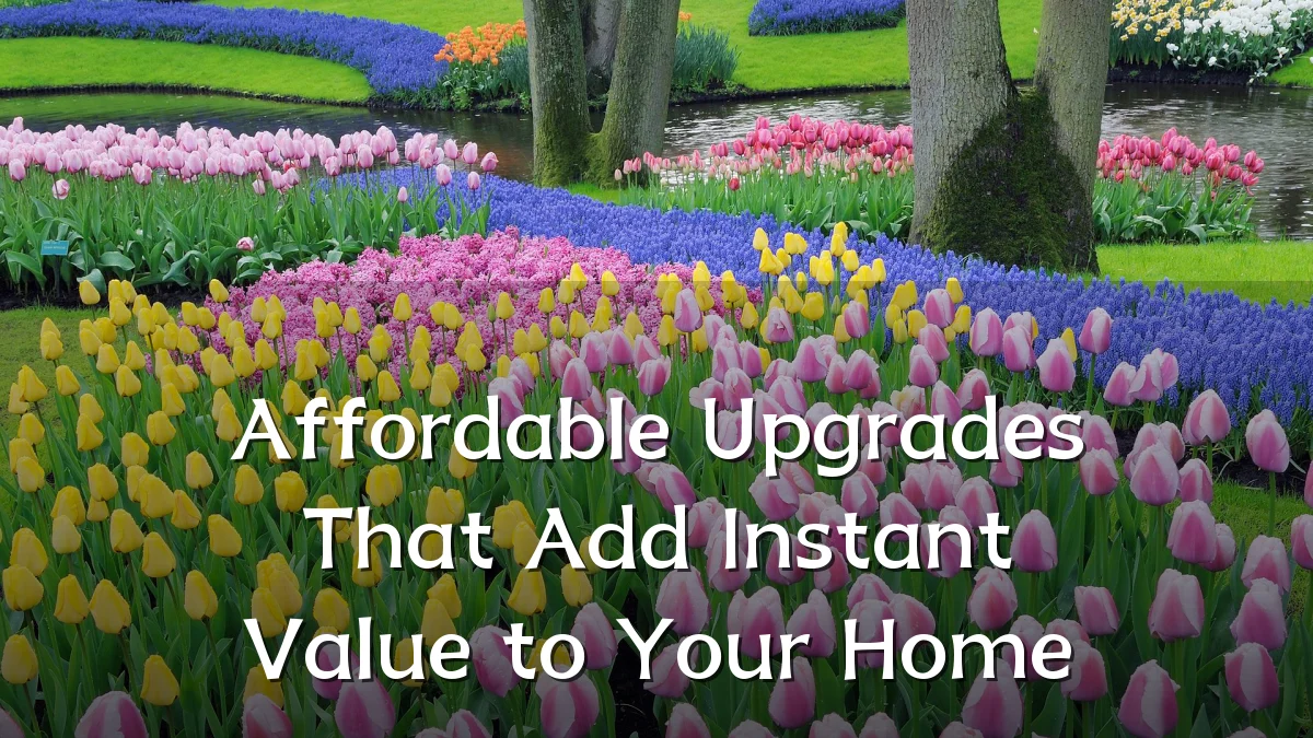 Affordable Upgrades That Add Instant Value to Your Home