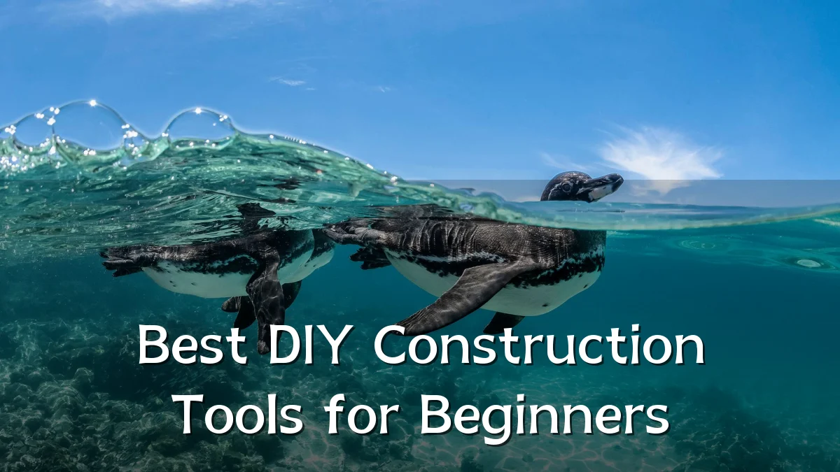 Best DIY Construction Tools for Beginners