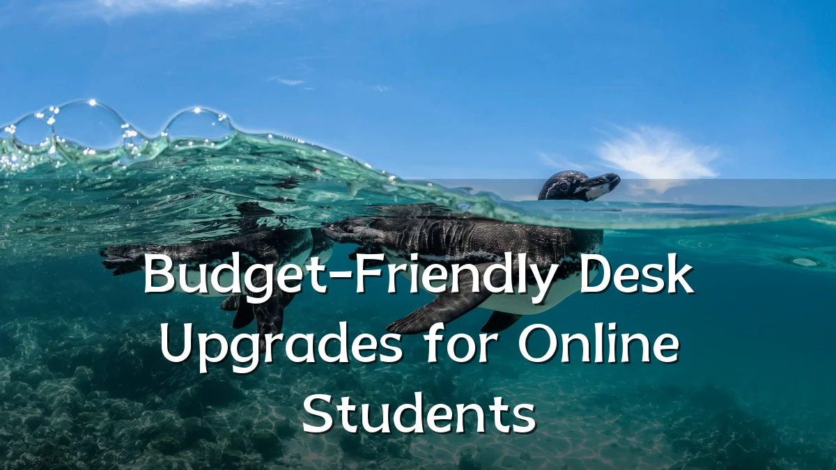 Budget-Friendly Desk Upgrades for Online Students