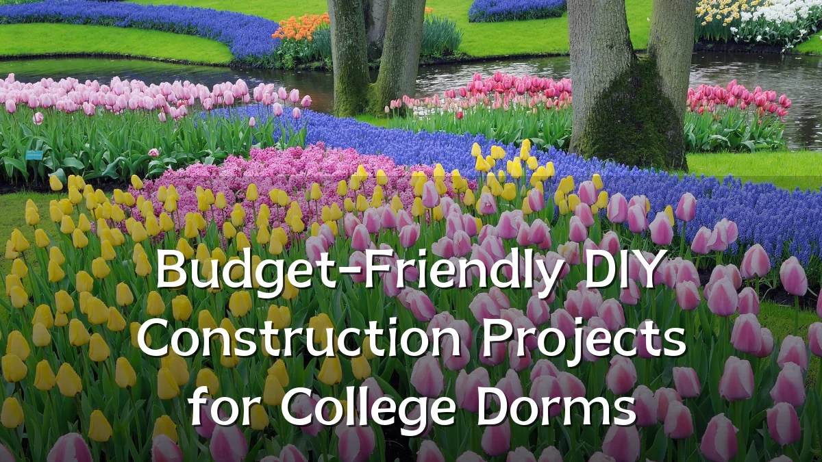 Budget-Friendly DIY Construction Projects for College Dorms