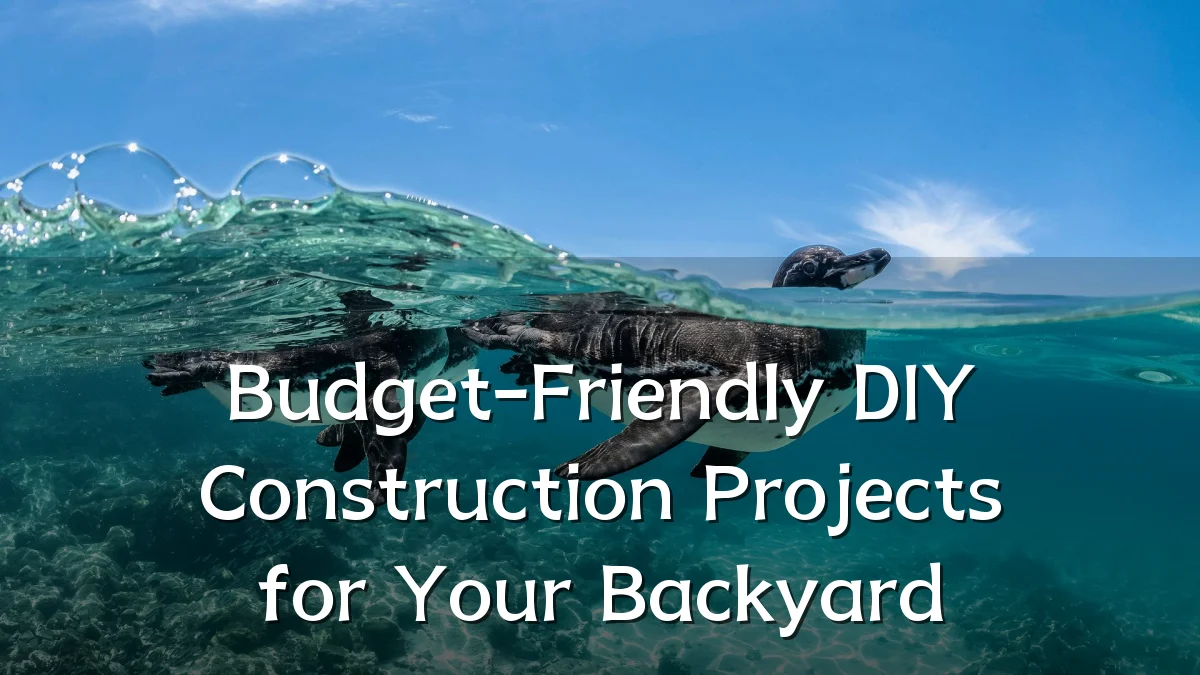 Budget-Friendly DIY Construction Projects for Your Backyard