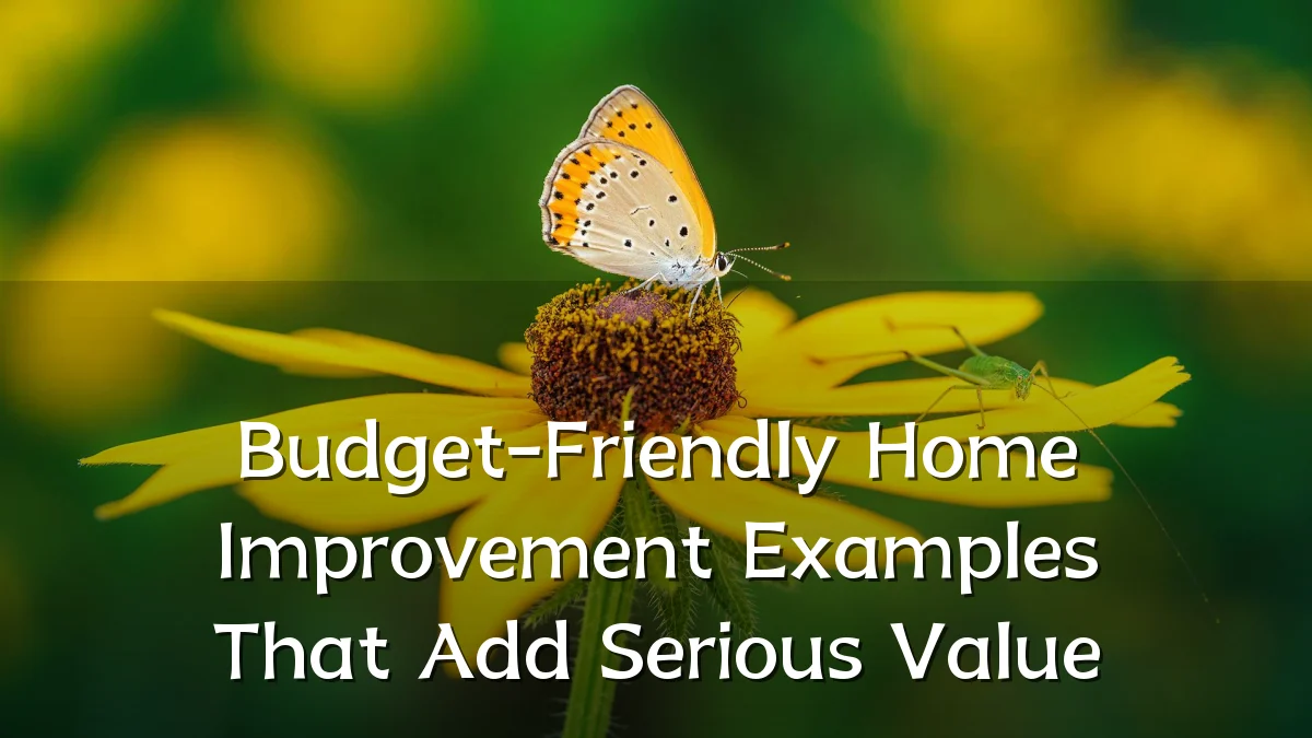 Budget-Friendly Home Improvement Examples That Add Serious Value