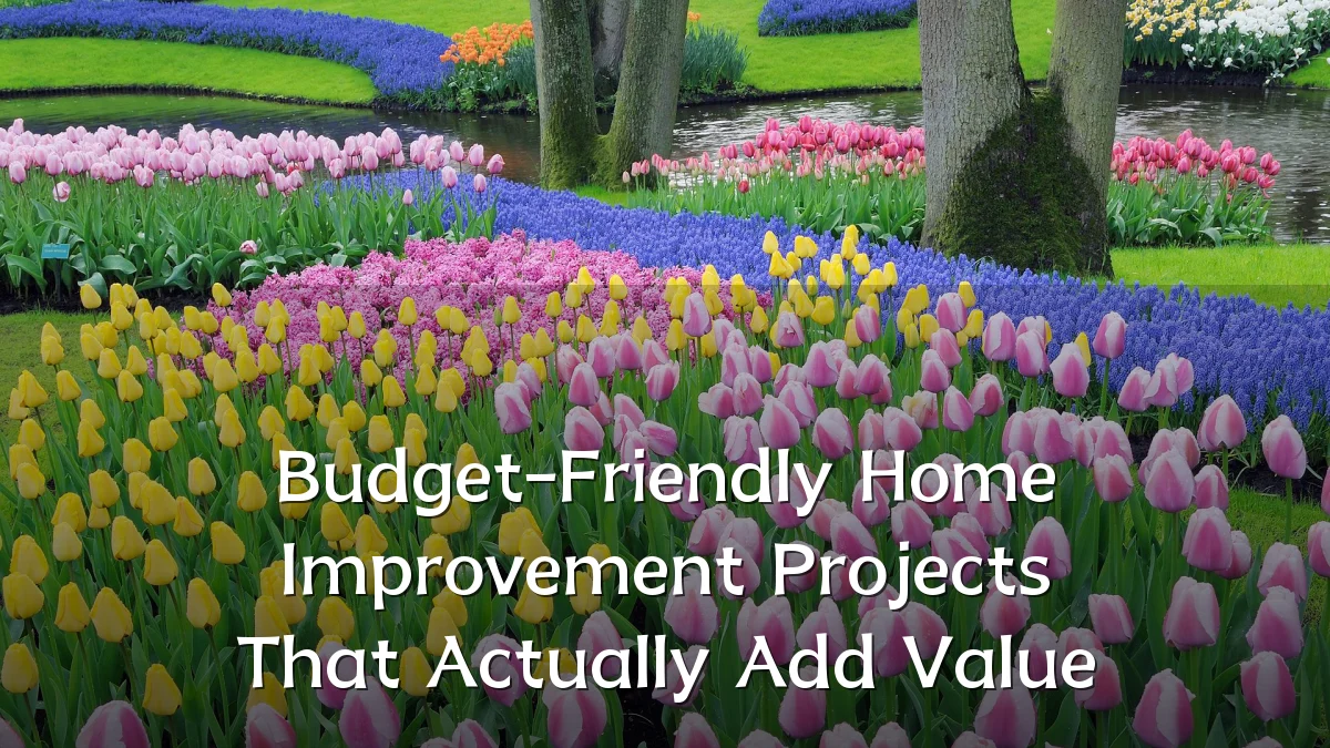 Budget-Friendly Home Improvement Projects That Actually Add Value