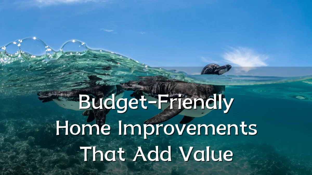 Budget-Friendly Home Improvements That Add Value