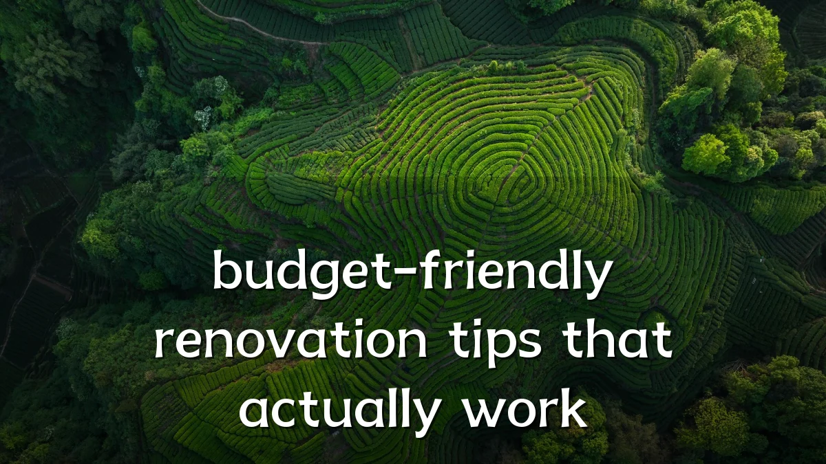 budget-friendly renovation tips that actually work