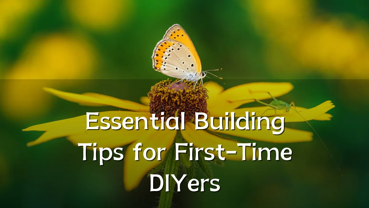 Essential Building Tips for First-Time DIYers