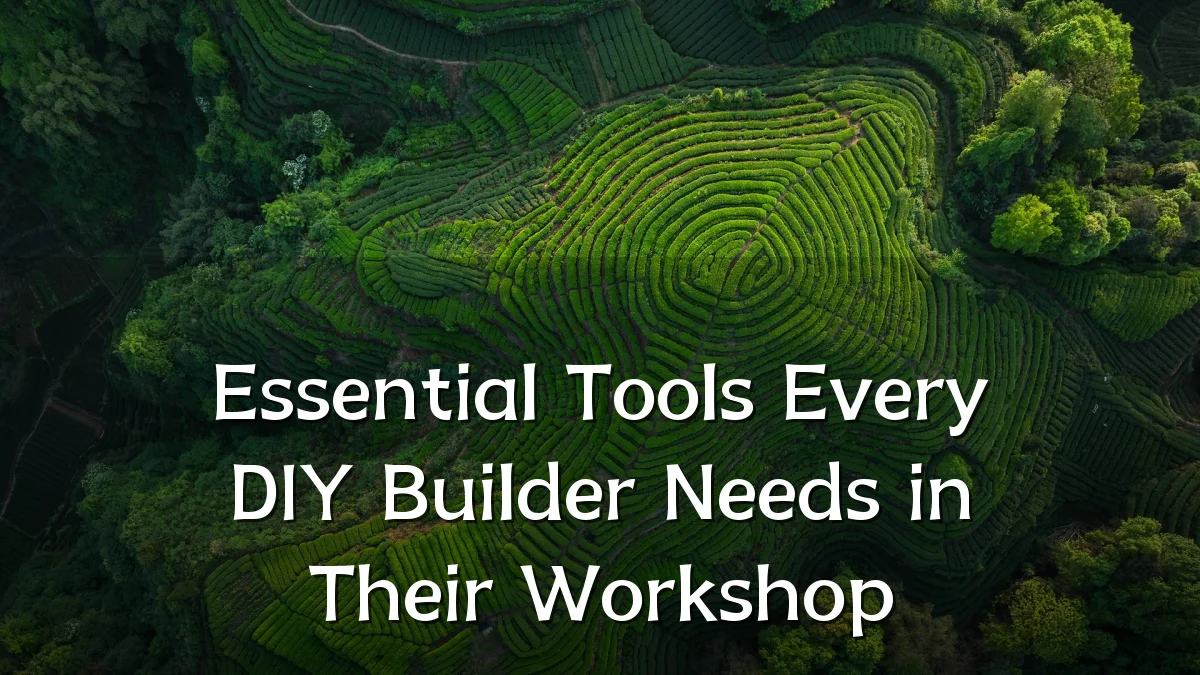 Essential Tools Every DIY Builder Needs in Their Workshop