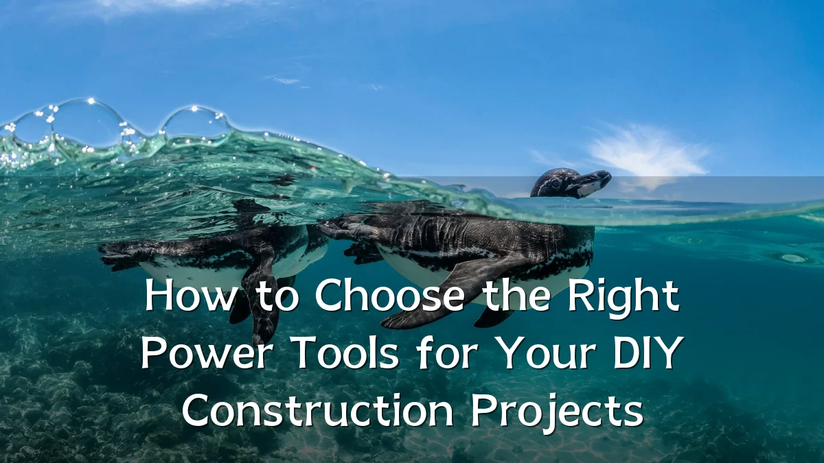 How to Choose the Right Power Tools for Your DIY Construction Projects