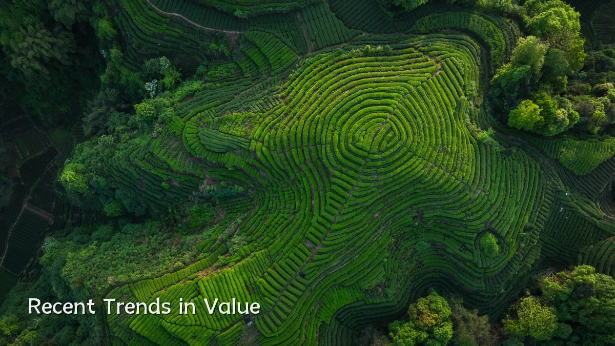 Recent Trends in Value