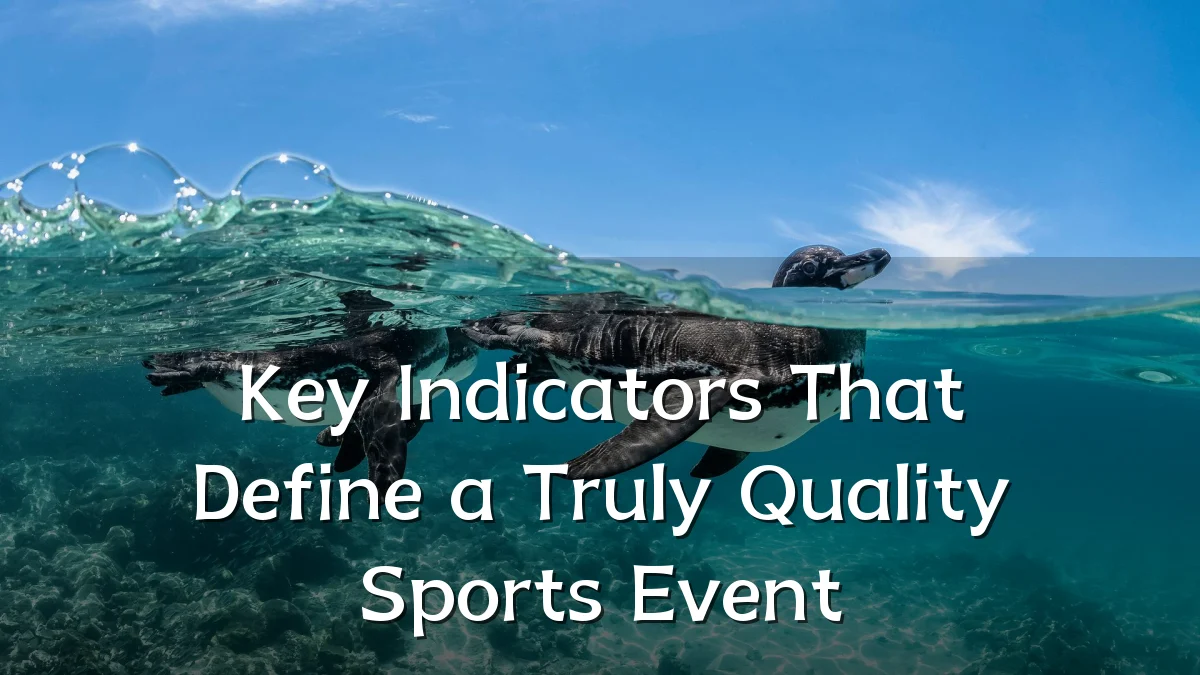 Key Indicators That Define a Truly Quality Sports Event