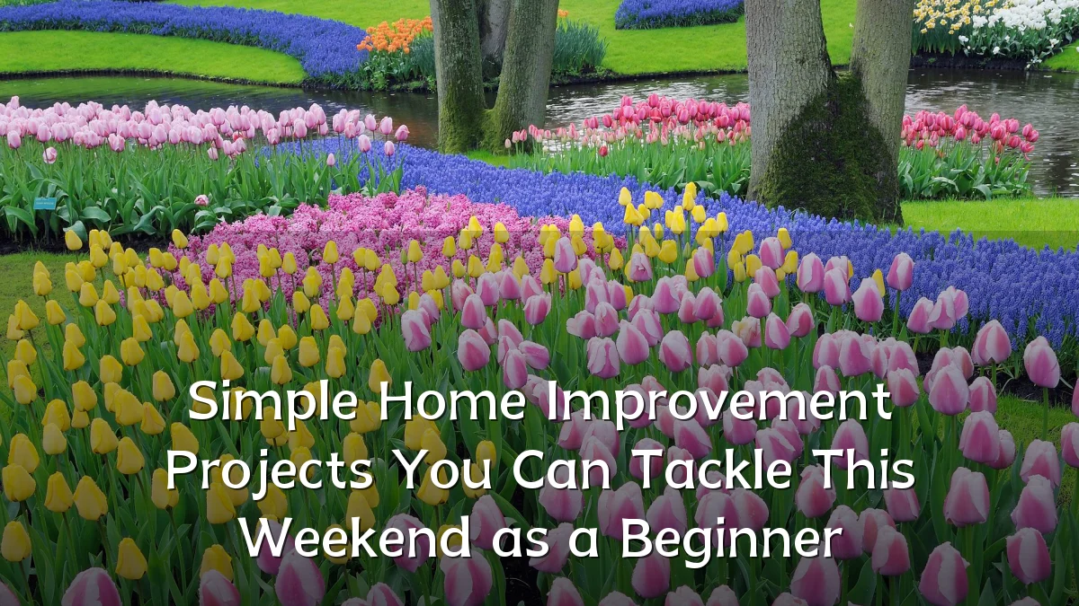 Simple Home Improvement Projects You Can Tackle This Weekend as a Beginner