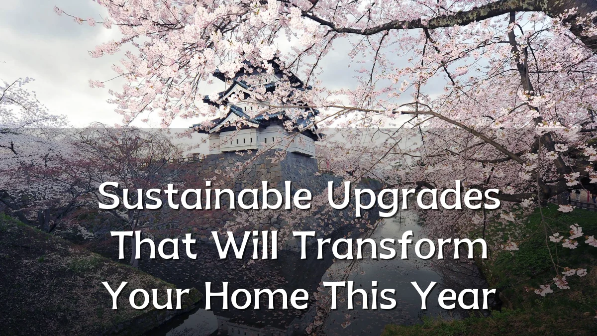 Sustainable Upgrades That Will Transform Your Home This Year