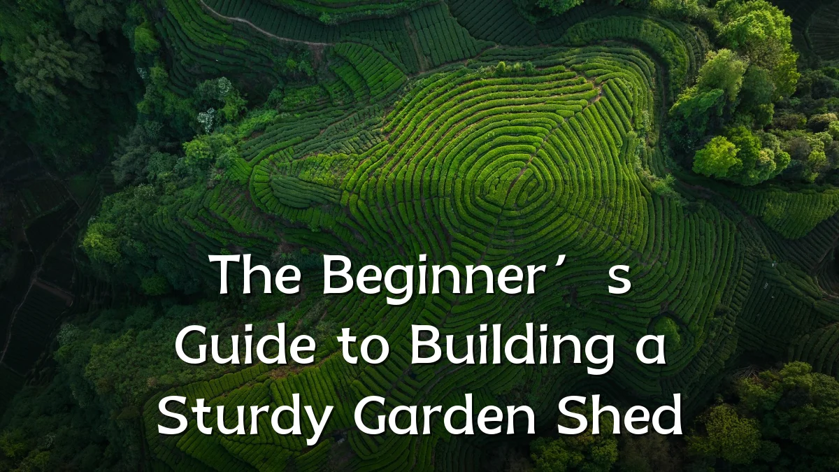 The Beginner’s Guide to Building a Sturdy Garden Shed