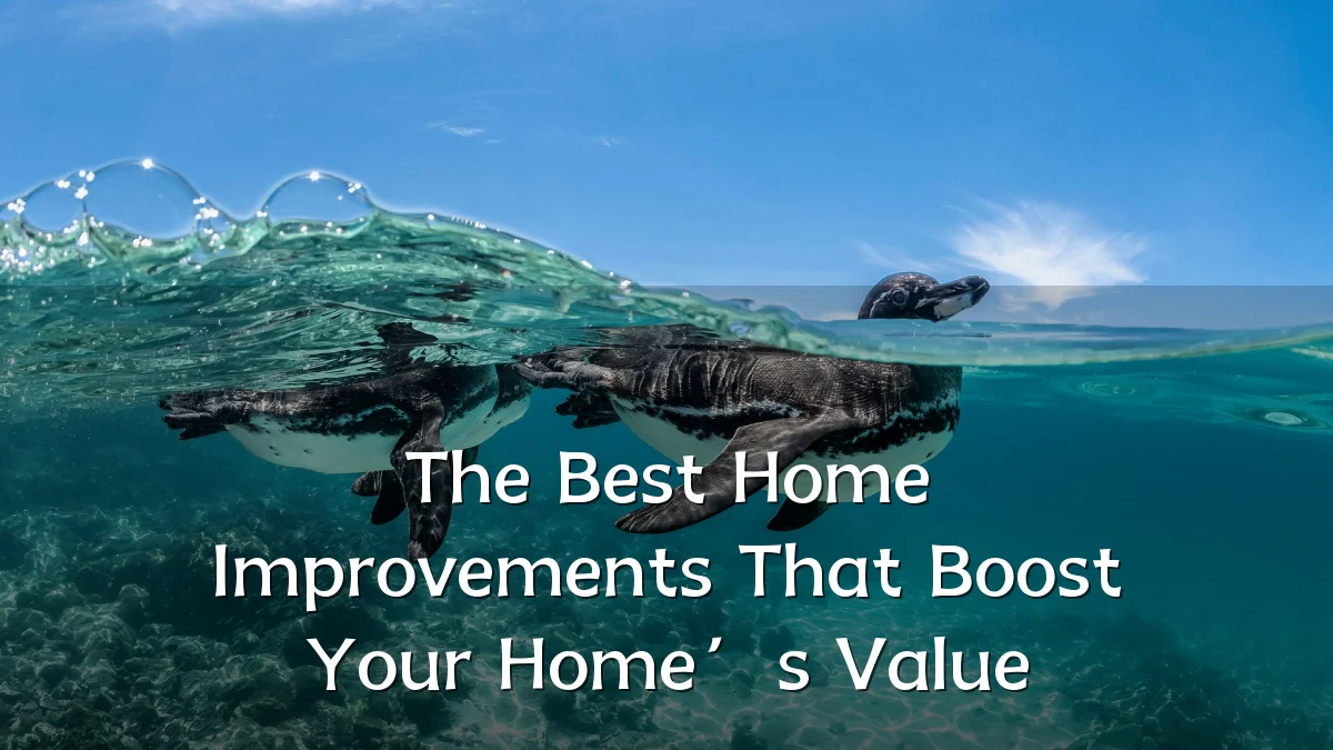 The Best Home Improvements That Boost Your Home’s Value