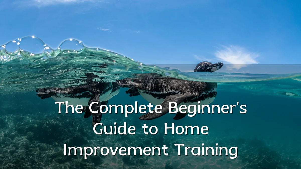 The Complete Beginner's Guide to Home Improvement Training