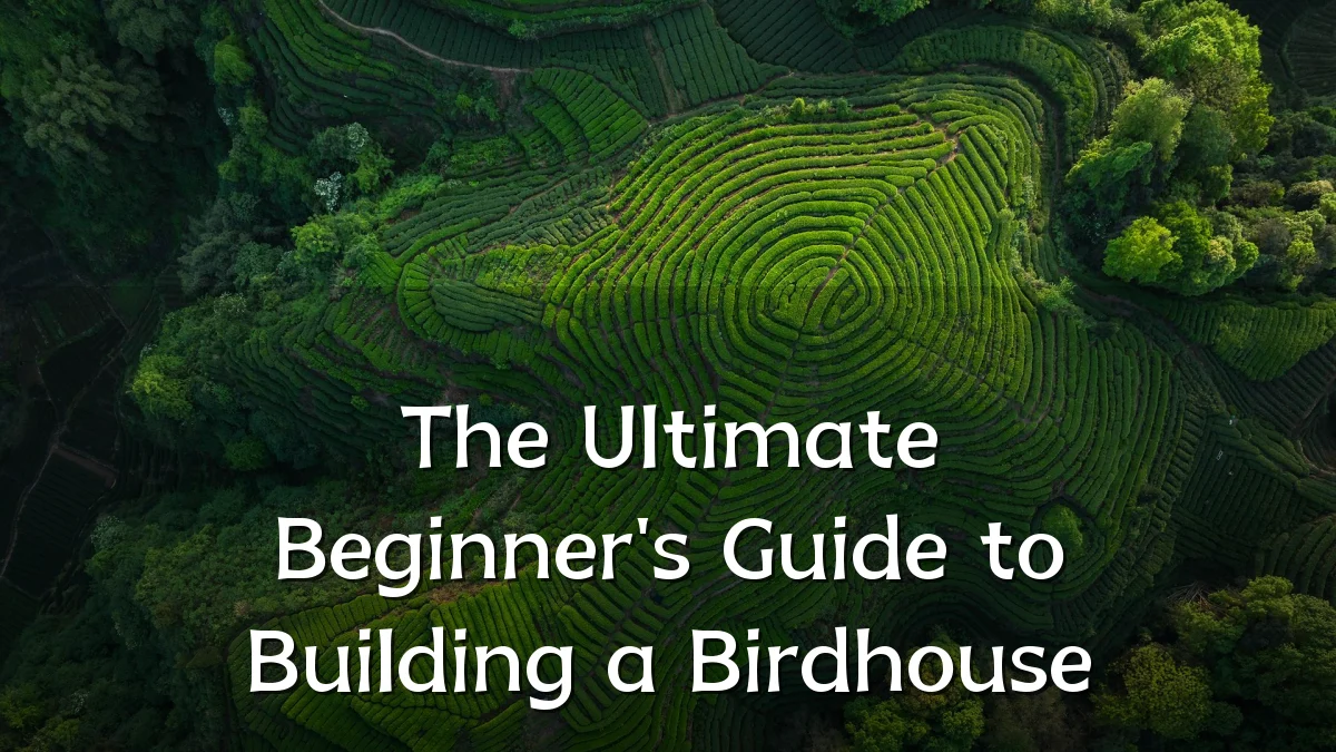 The Ultimate Beginner's Guide to Building a Birdhouse