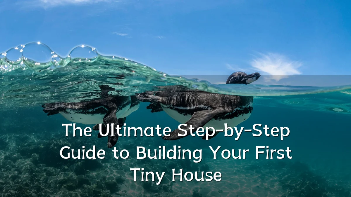 The Ultimate Step-by-Step Guide to Building Your First Tiny House