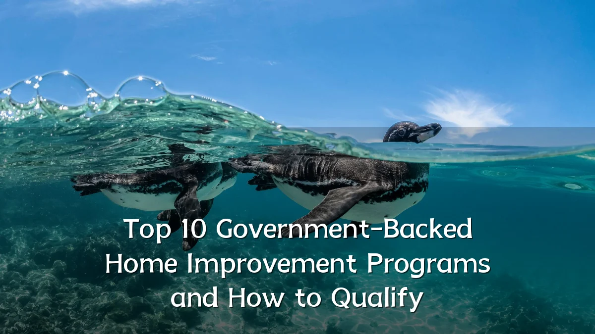 Top 10 Government-Backed Home Improvement Programs and How to Qualify