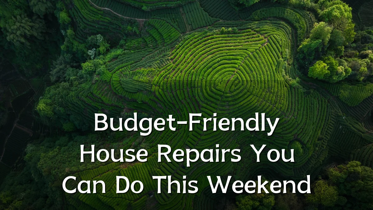 Budget-Friendly House Repairs You Can Do This Weekend