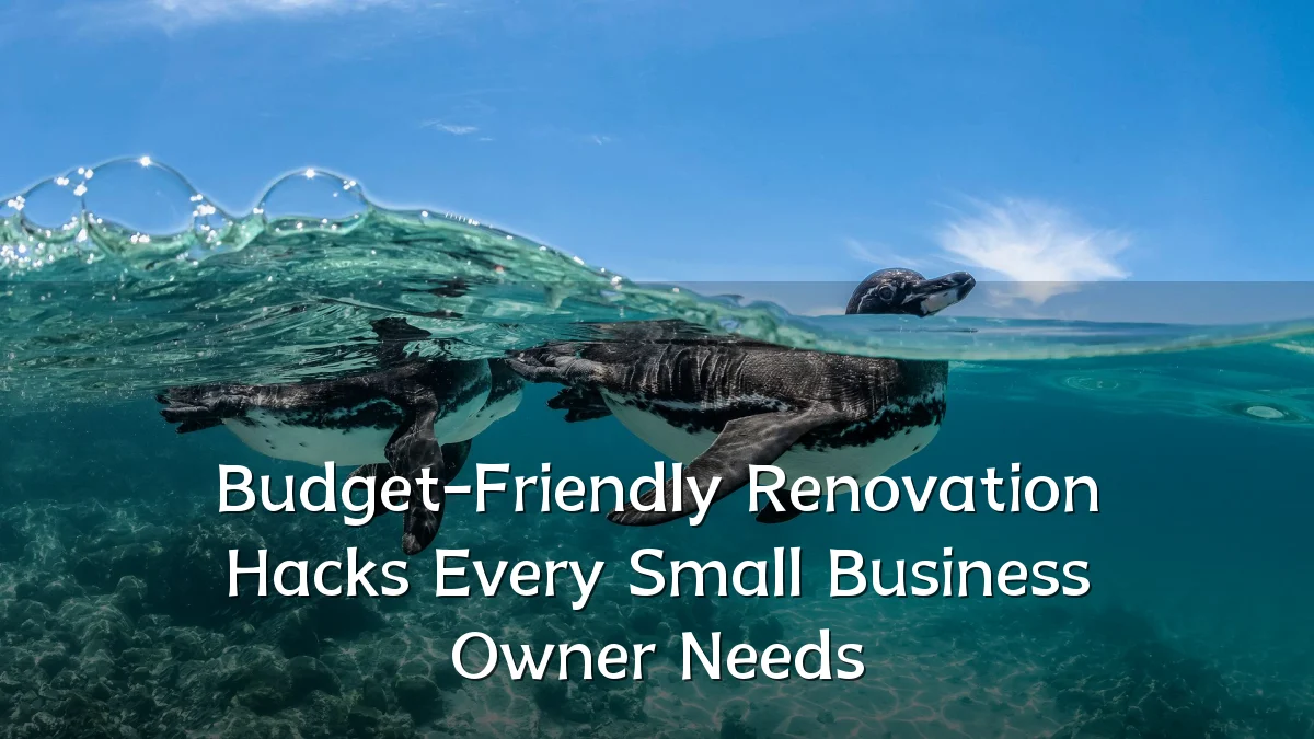 Budget-Friendly Renovation Hacks Every Small Business Owner Needs