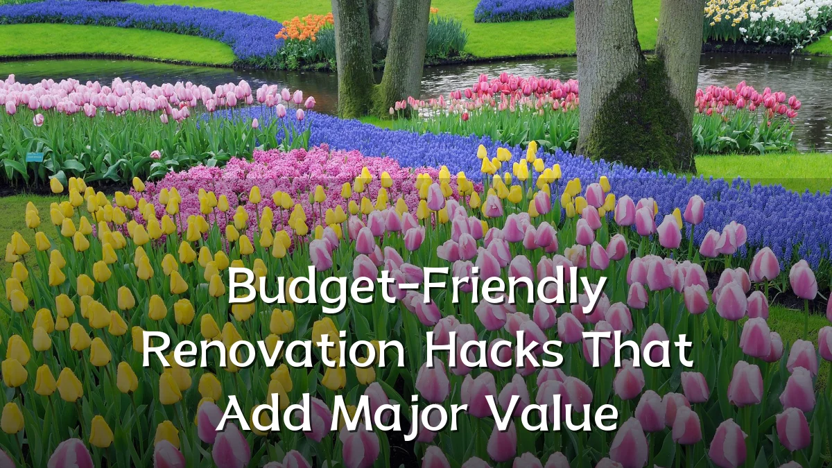 Budget-Friendly Renovation Hacks That Add Major Value
