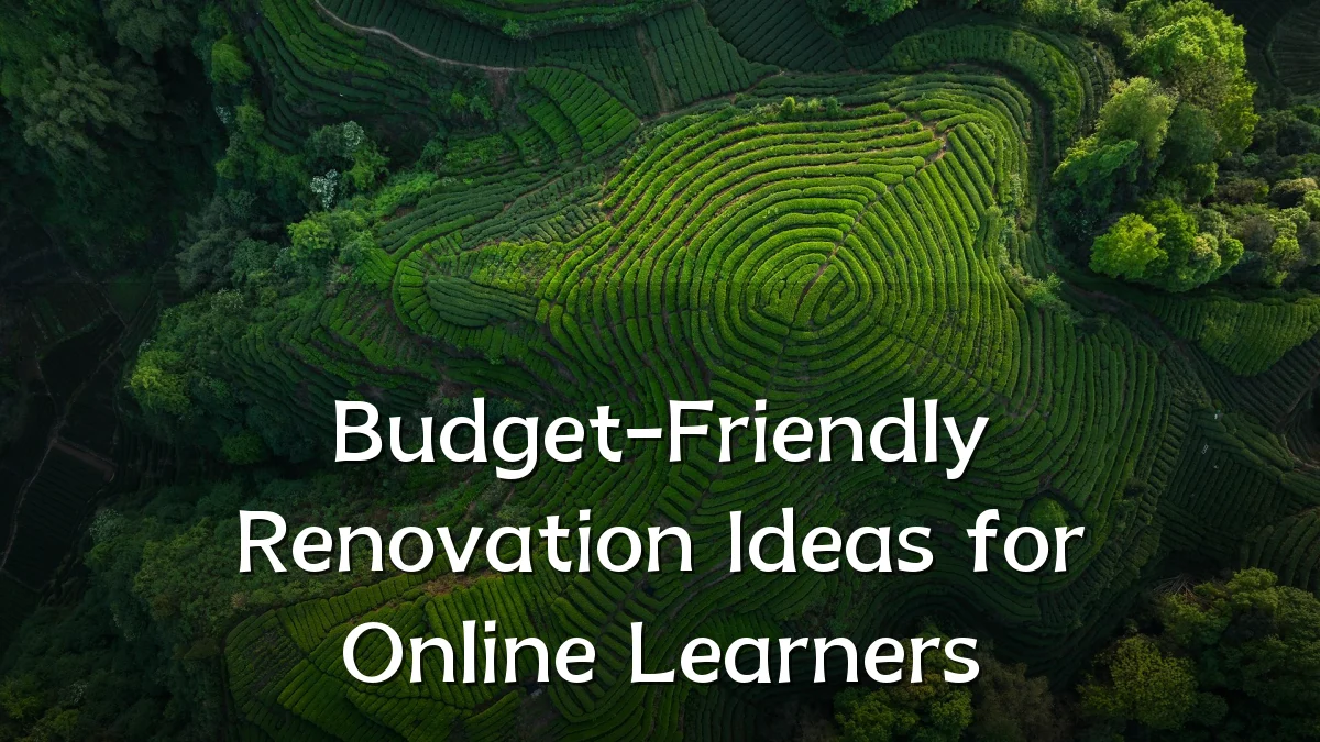 Budget-Friendly Renovation Ideas for Online Learners