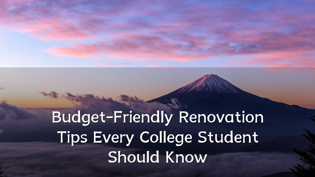 Budget-Friendly Renovation Tips Every College Student Should Know