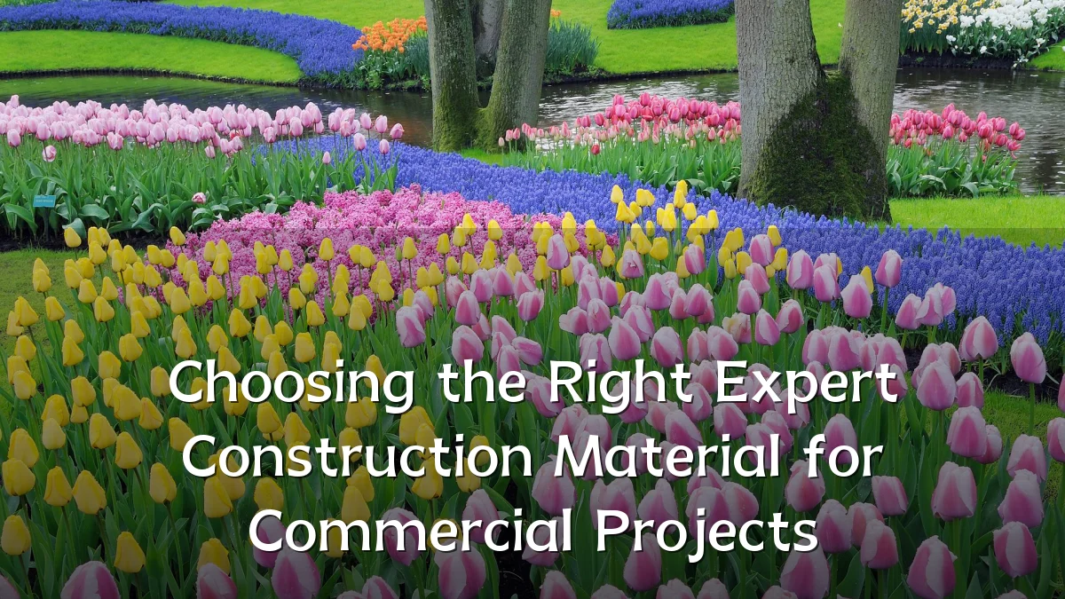 Choosing the Right Expert Construction Material for Commercial Projects