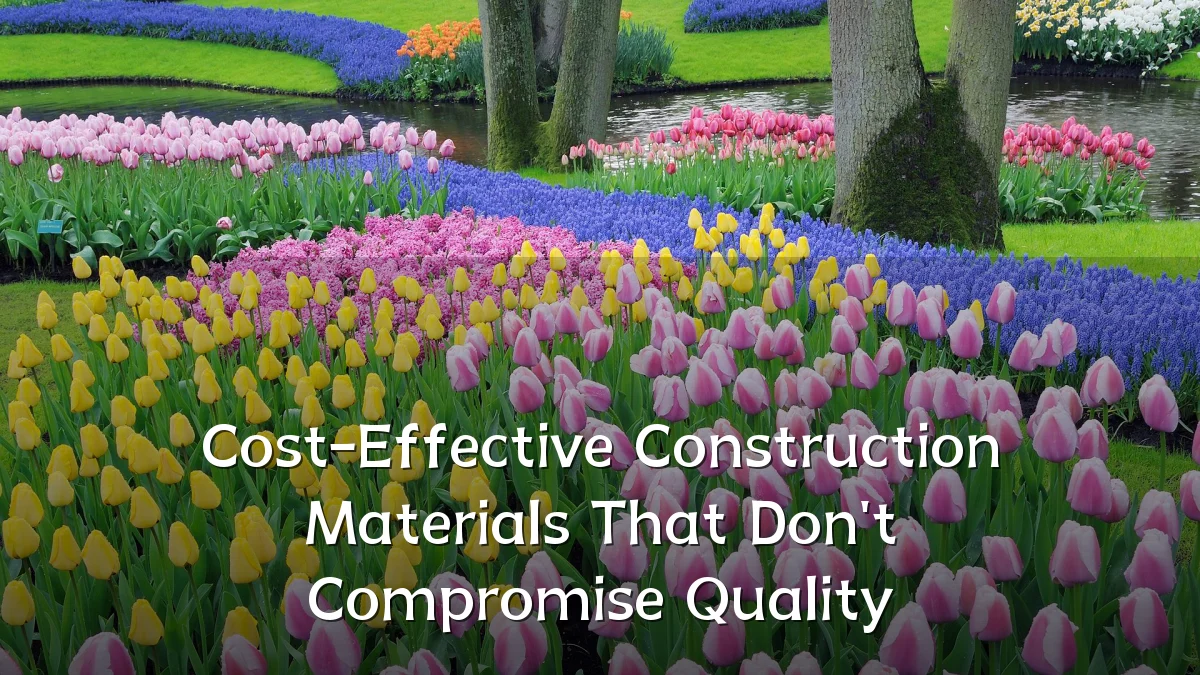 Cost-Effective Construction Materials That Don't Compromise Quality