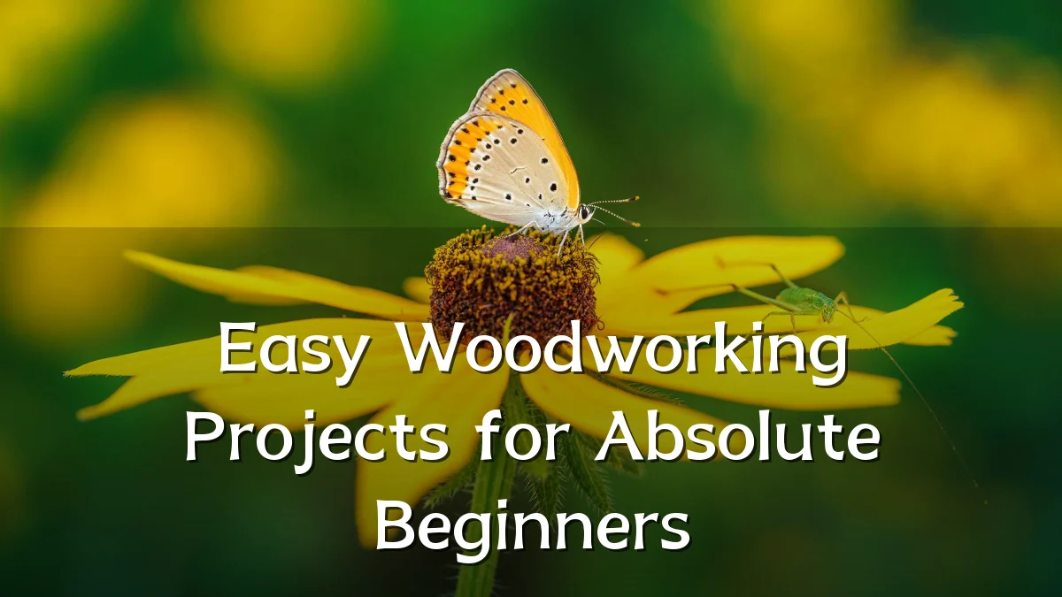 Easy Woodworking Projects for Absolute Beginners