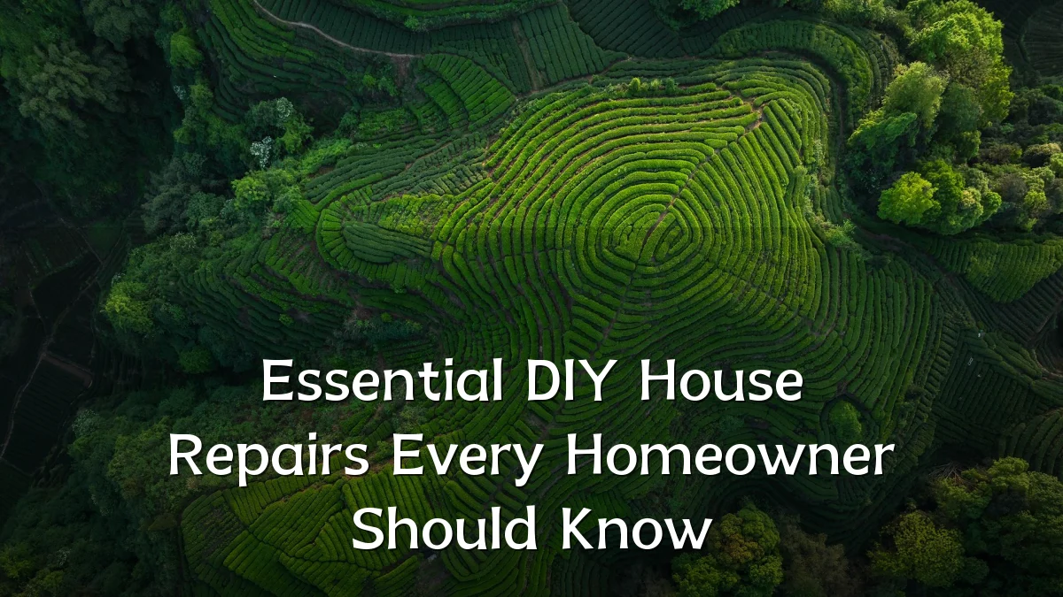 Essential DIY House Repairs Every Homeowner Should Know