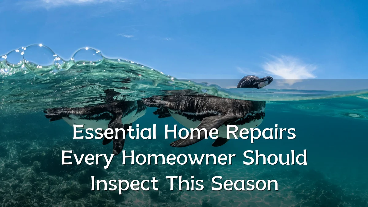 Essential Home Repairs Every Homeowner Should Inspect This Season
