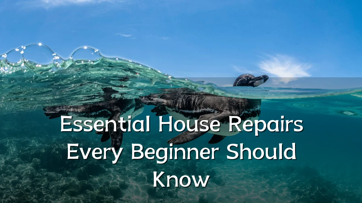 Essential House Repairs Every Beginner Should Know