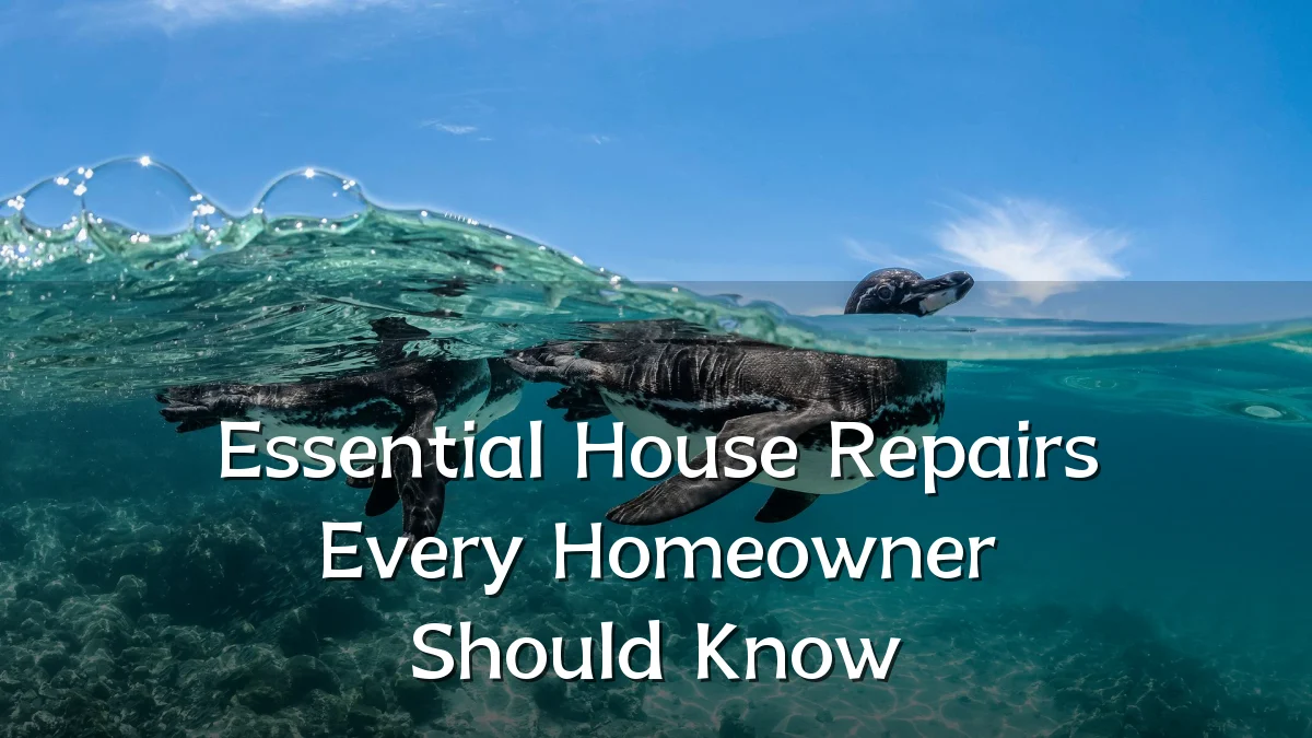 Essential House Repairs Every Homeowner Should Know