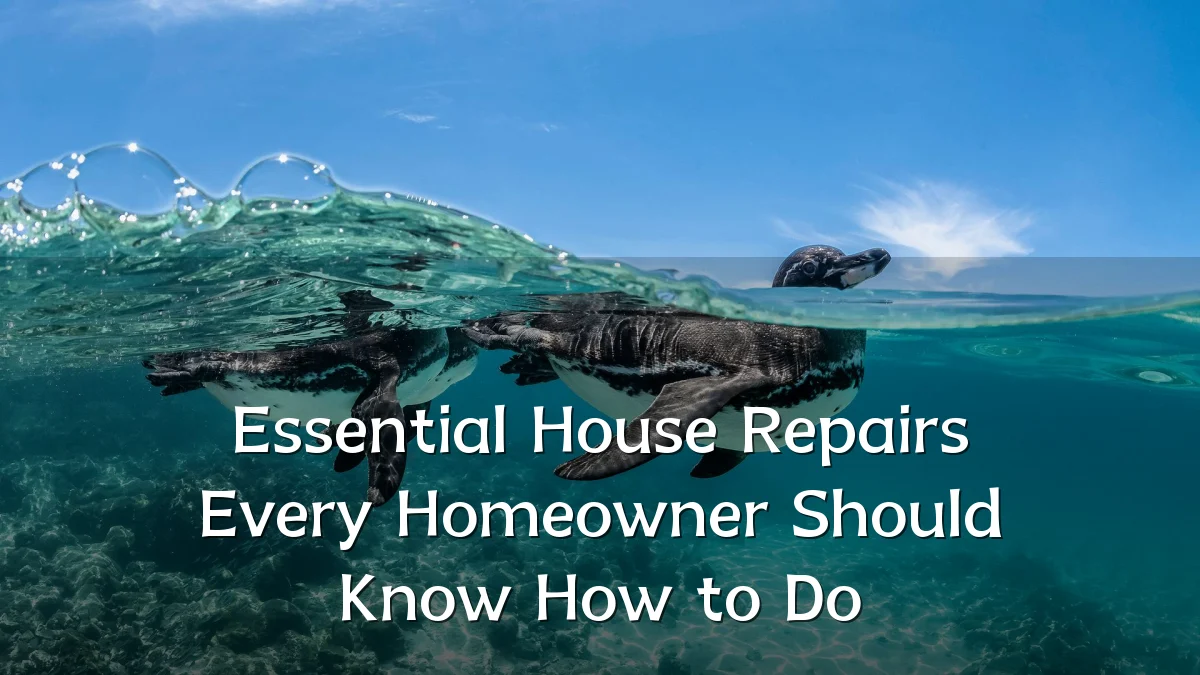 Essential House Repairs Every Homeowner Should Know How to Do