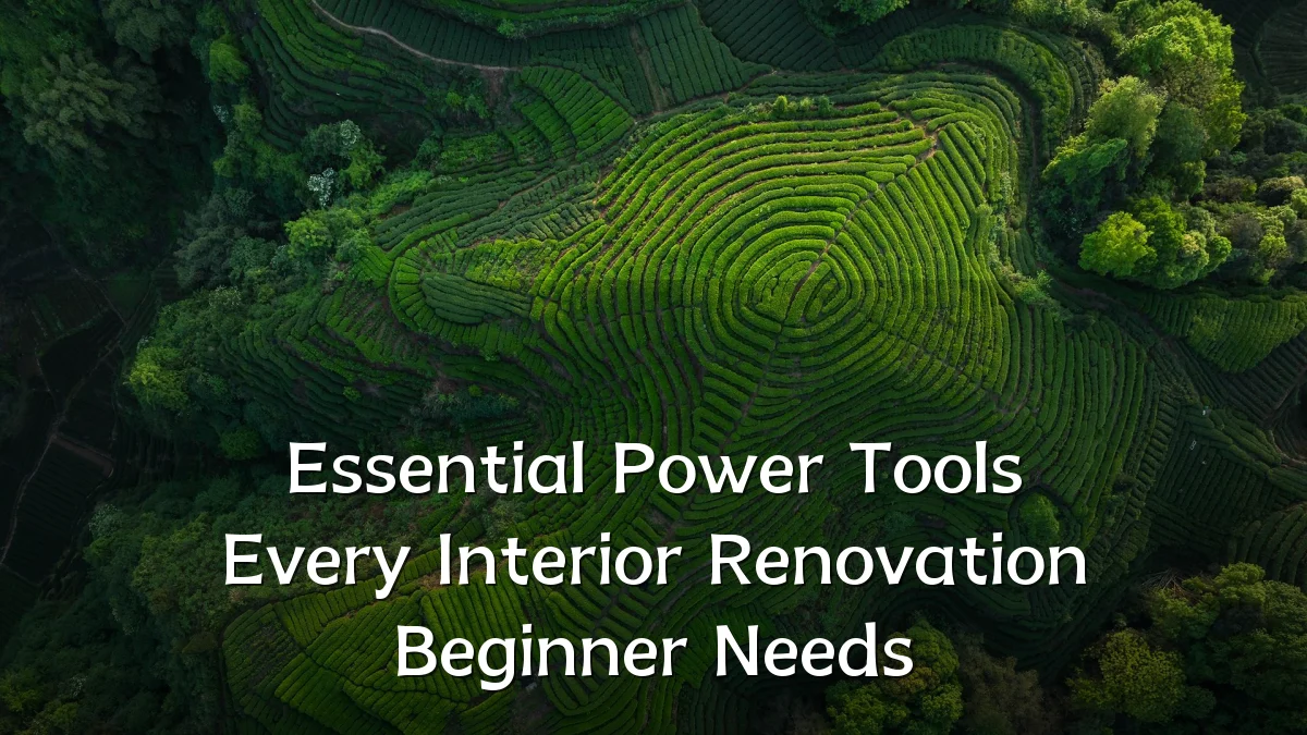 Essential Power Tools Every Interior Renovation Beginner Needs