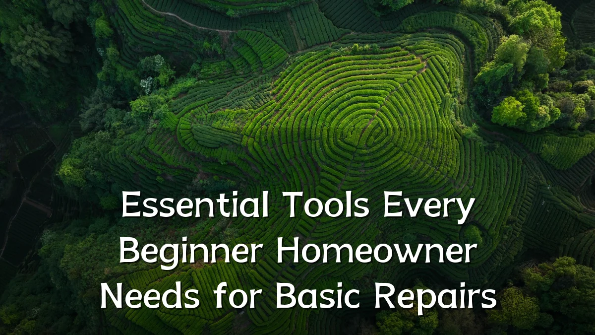 Essential Tools Every Beginner Homeowner Needs for Basic Repairs