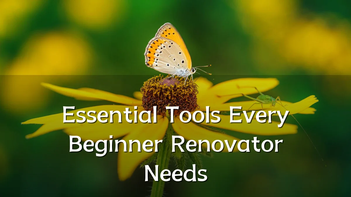 Essential Tools Every Beginner Renovator Needs
