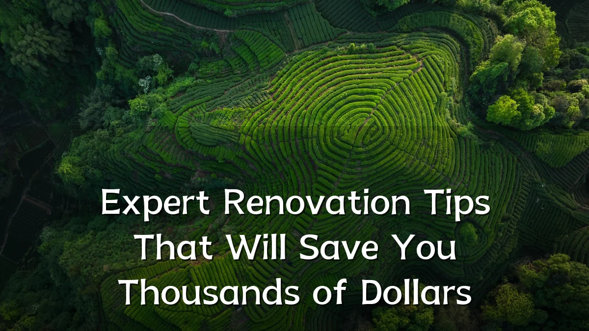 Expert Renovation Tips That Will Save You Thousands of Dollars