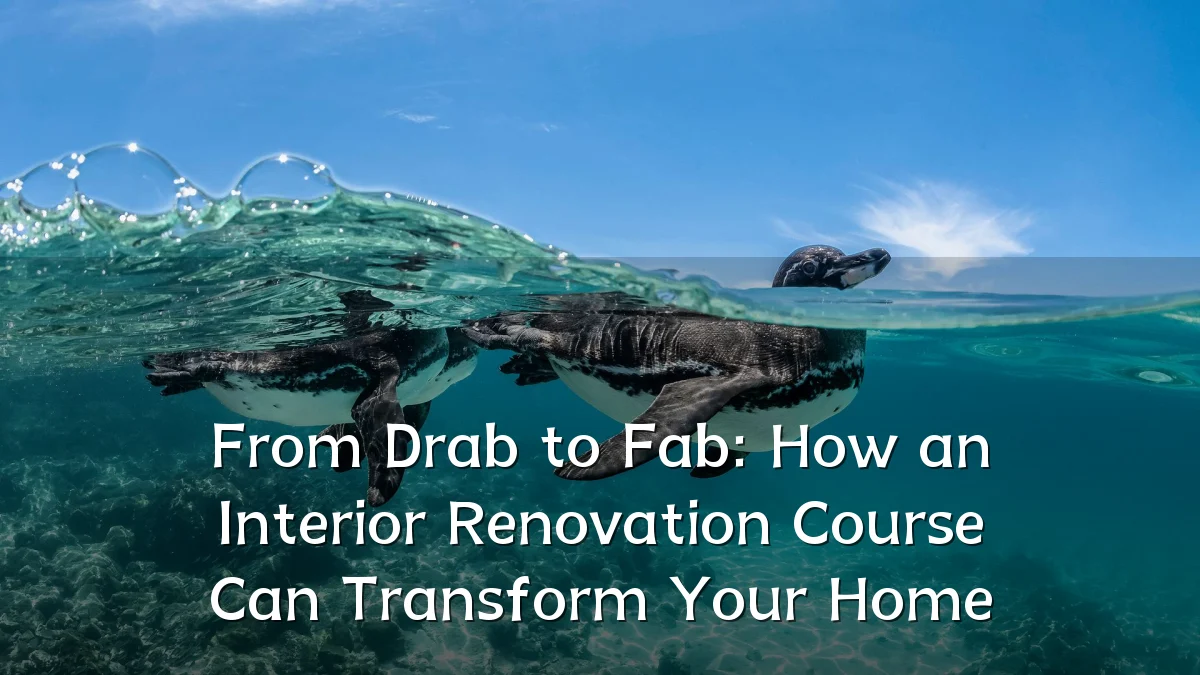 From Drab to Fab: How an Interior Renovation Course Can Transform Your Home