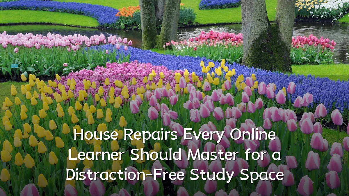 House Repairs Every Online Learner Should Master for a Distraction-Free Study Space