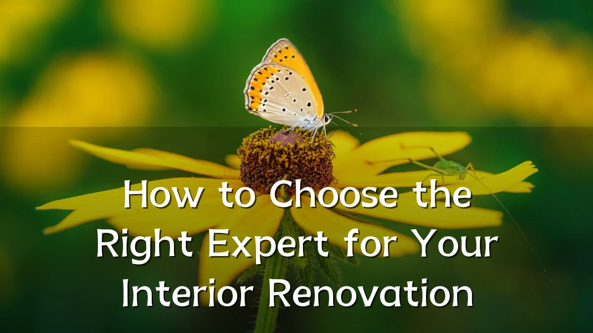 How to Choose the Right Expert for Your Interior Renovation