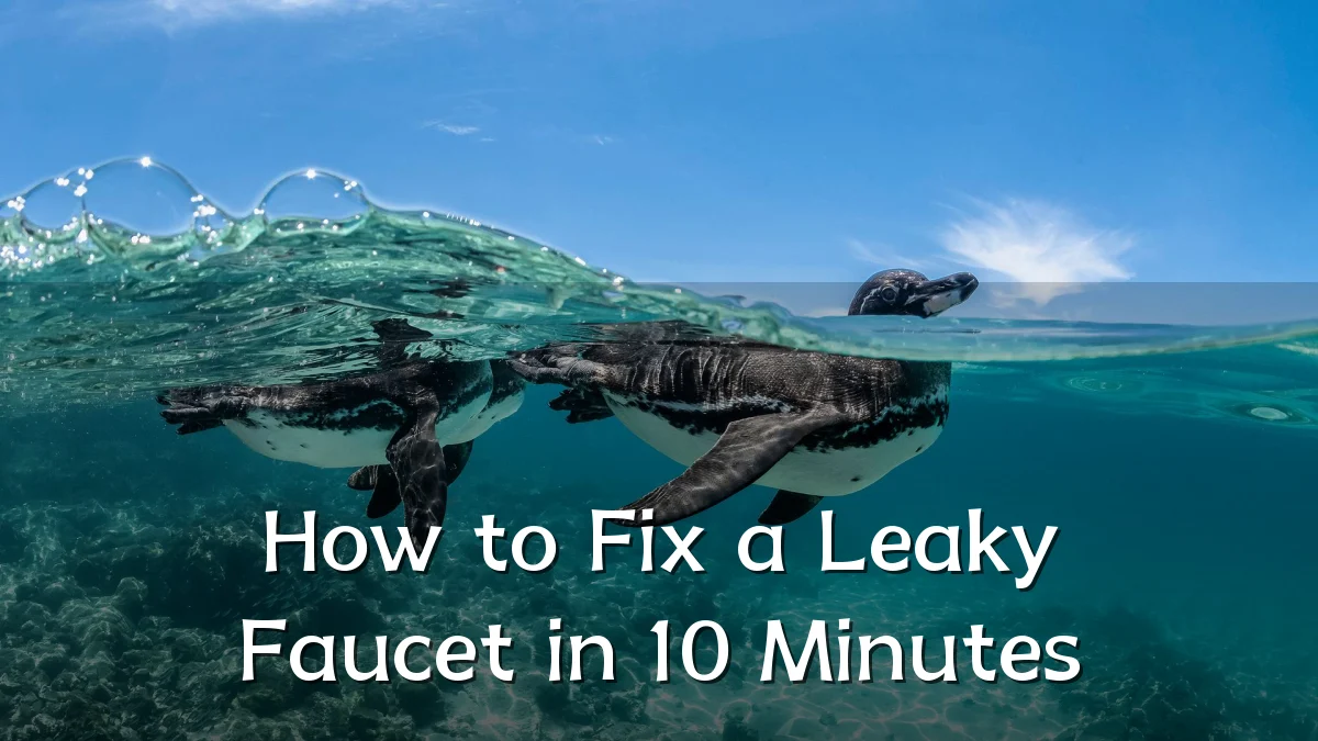 How to Fix a Leaky Faucet in 10 Minutes