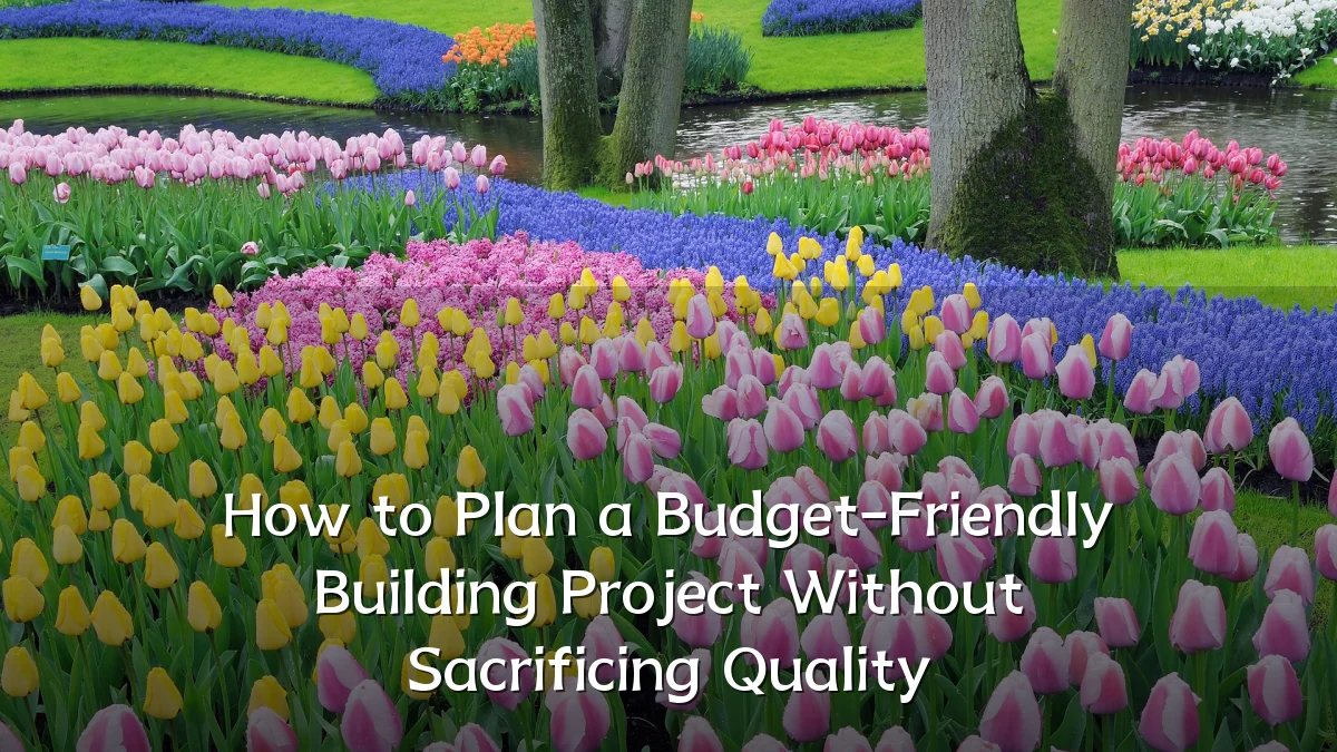 How to Plan a Budget-Friendly Building Project Without Sacrificing Quality