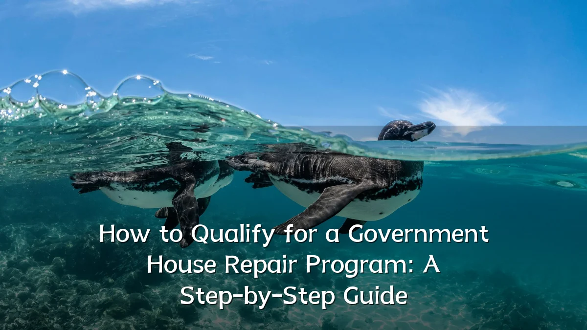 How to Qualify for a Government House Repair Program: A Step-by-Step Guide