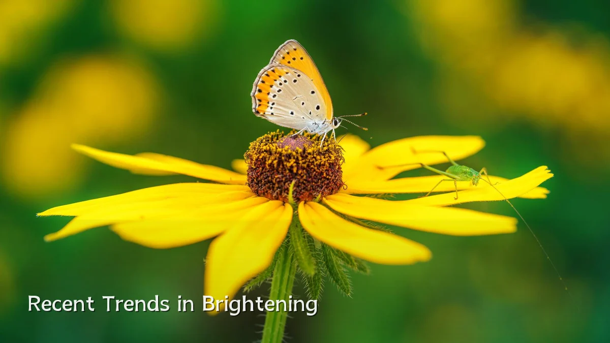 Recent Trends in Brightening