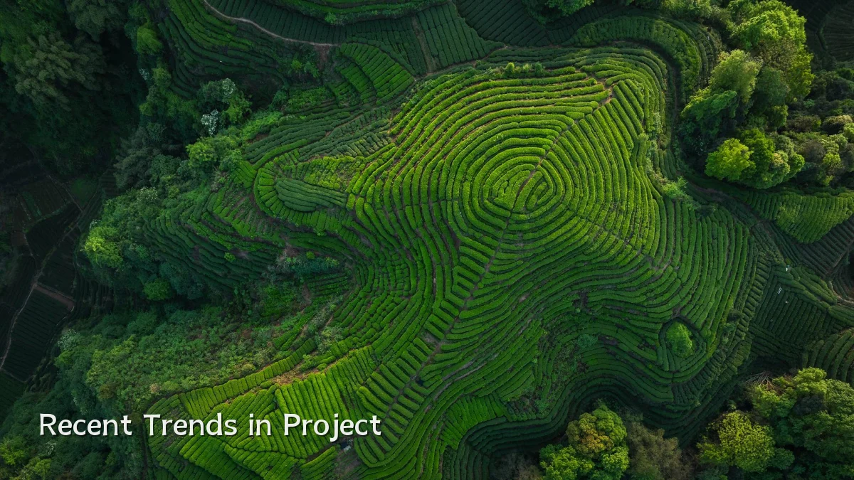 Recent Trends in Project