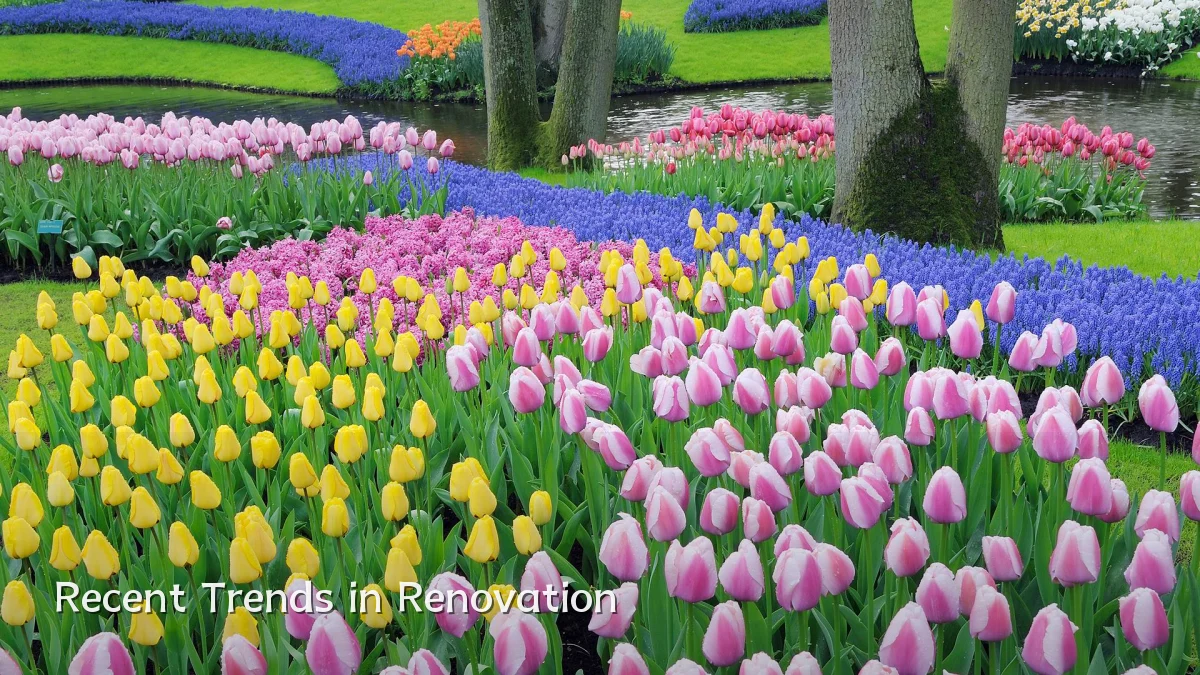 Recent Trends in Renovation