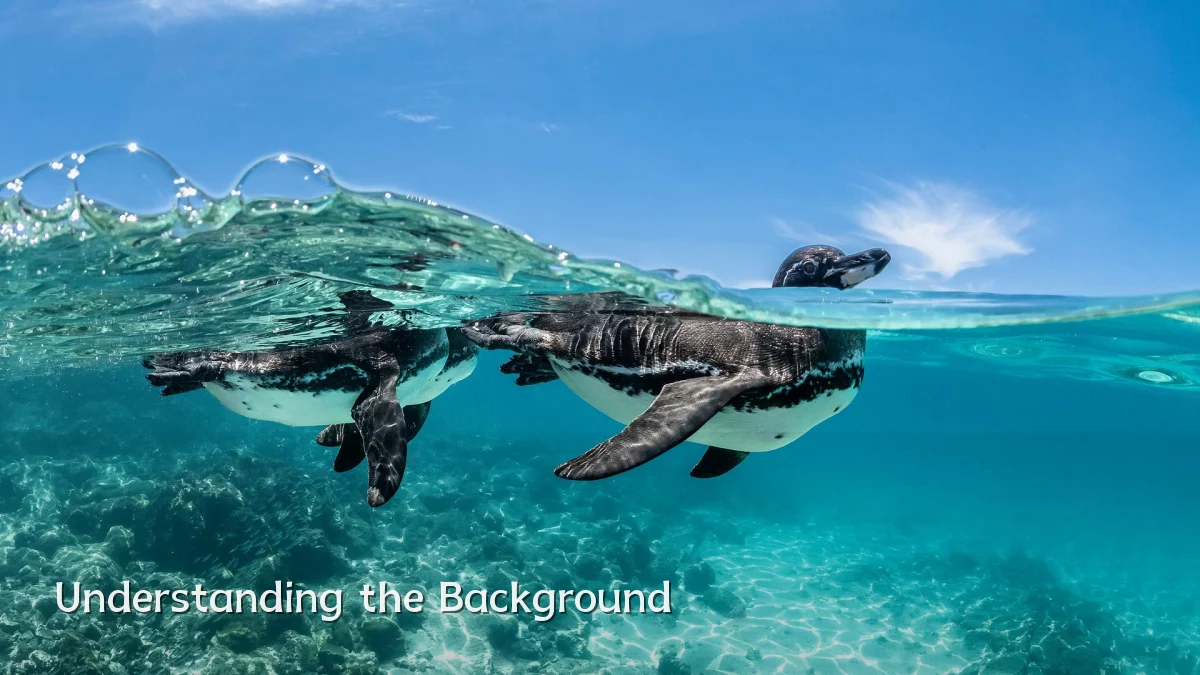 Understanding the Background