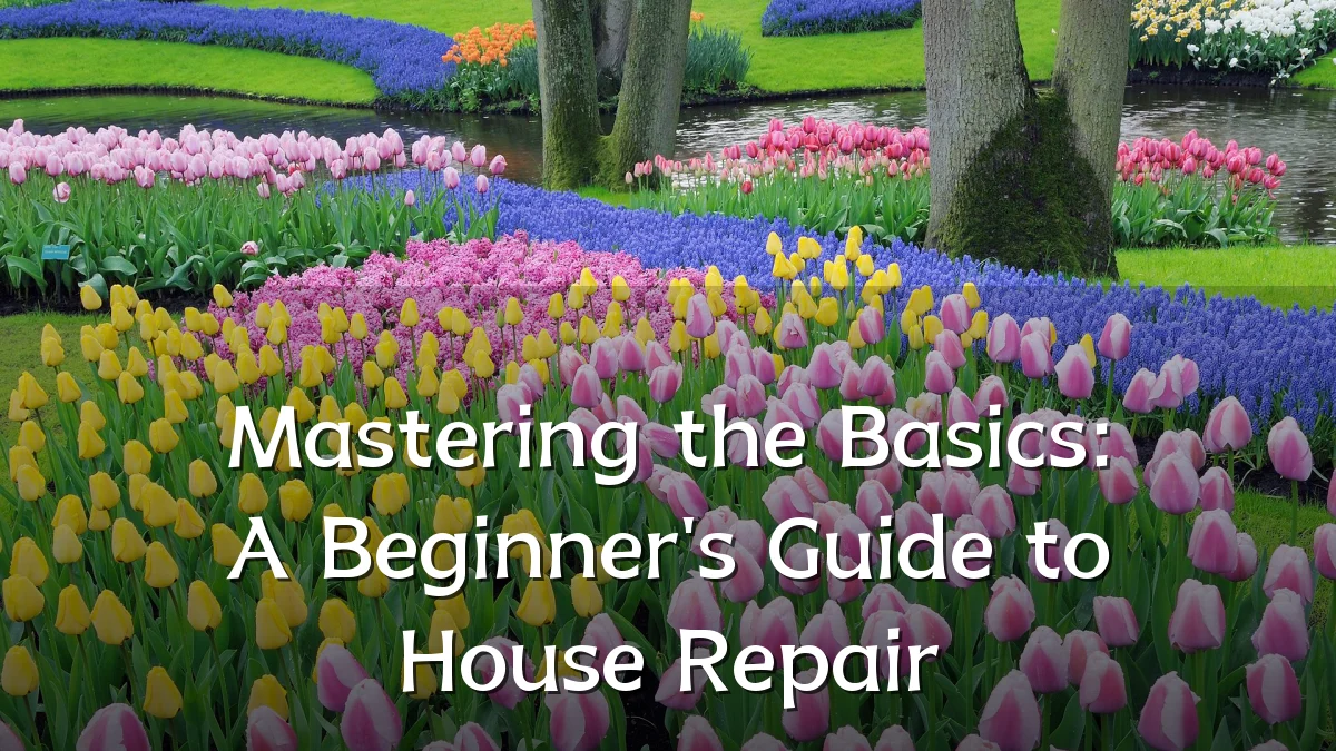 Mastering the Basics: A Beginner's Guide to House Repair